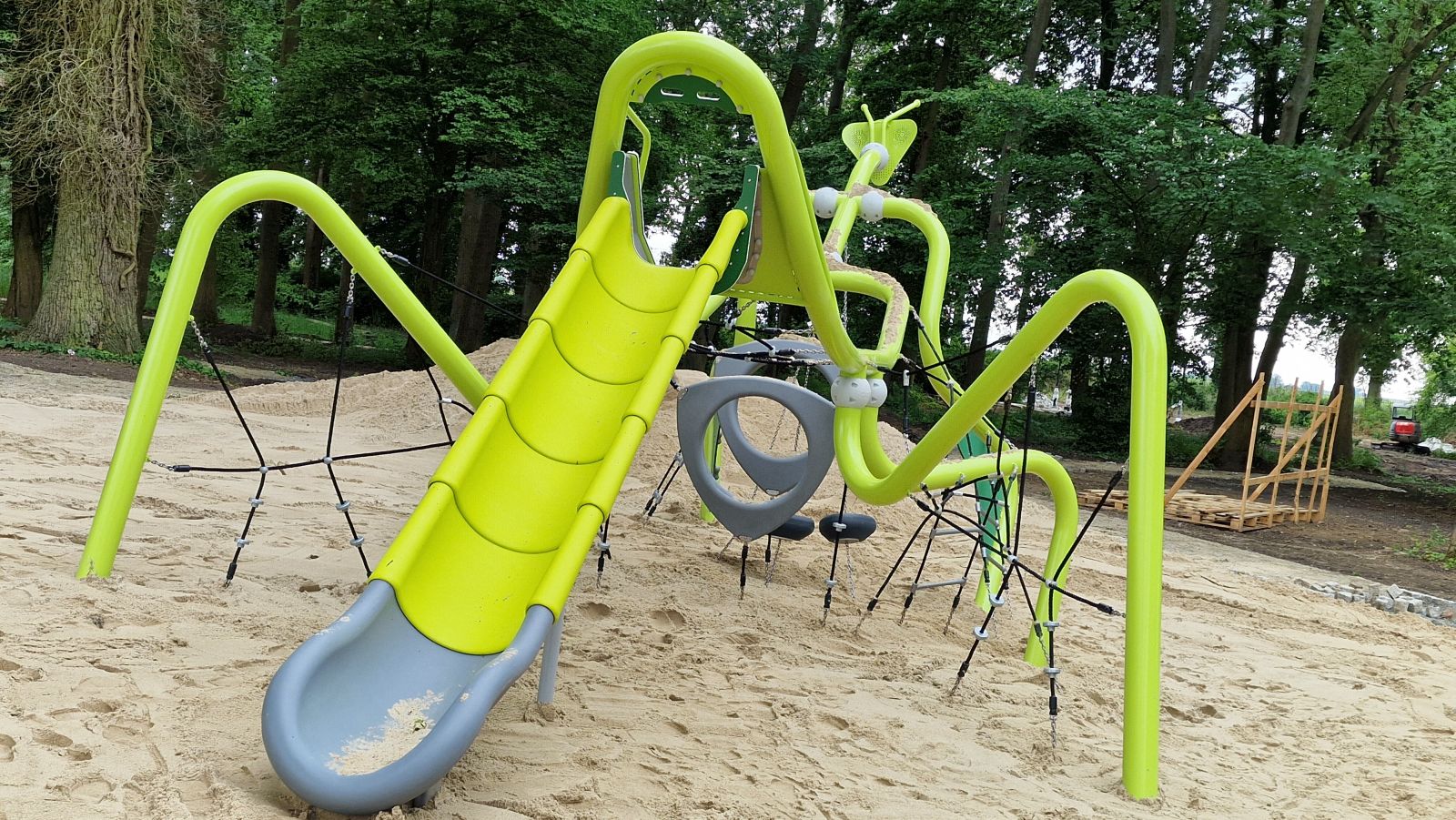 Koncerty, śluby i ...modliszka.