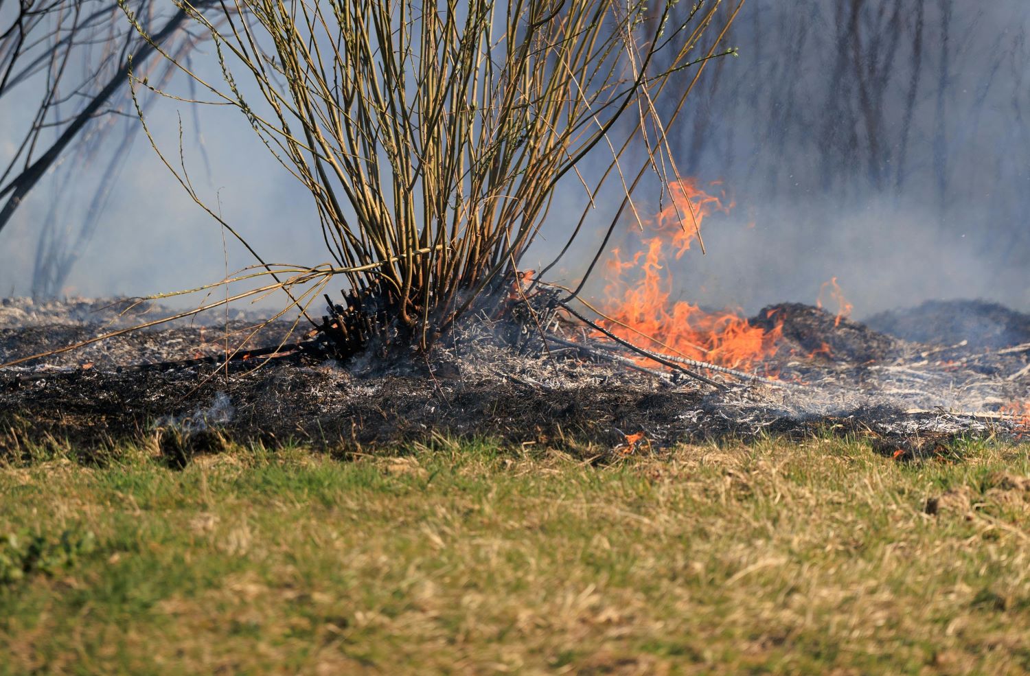 Strażacy alarmują: - Nie wypalajmy traw! Wczoraj interweniowali aż 9 razy