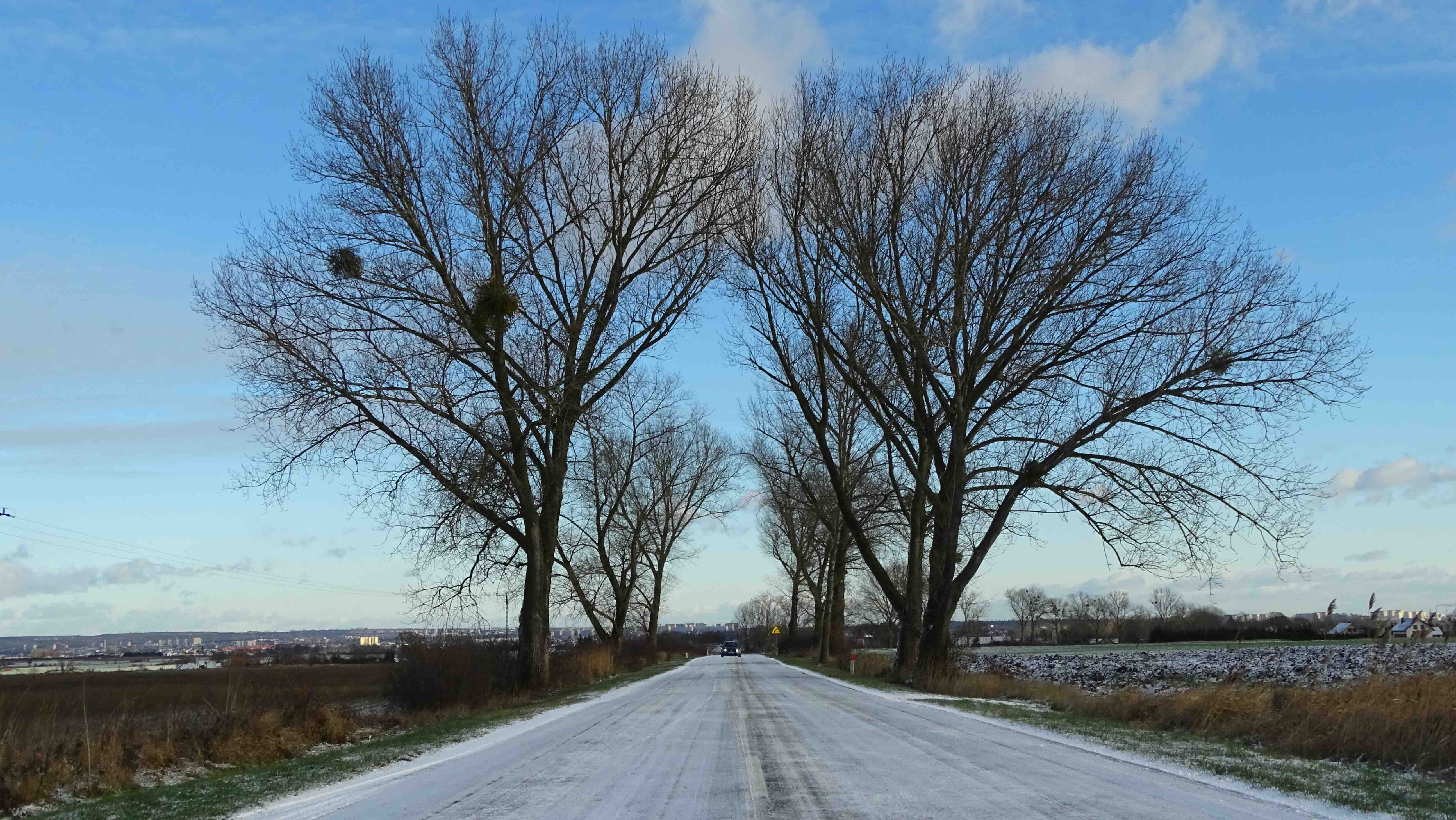 Cztery zasady bezpieczeństwa na zimowych drogach