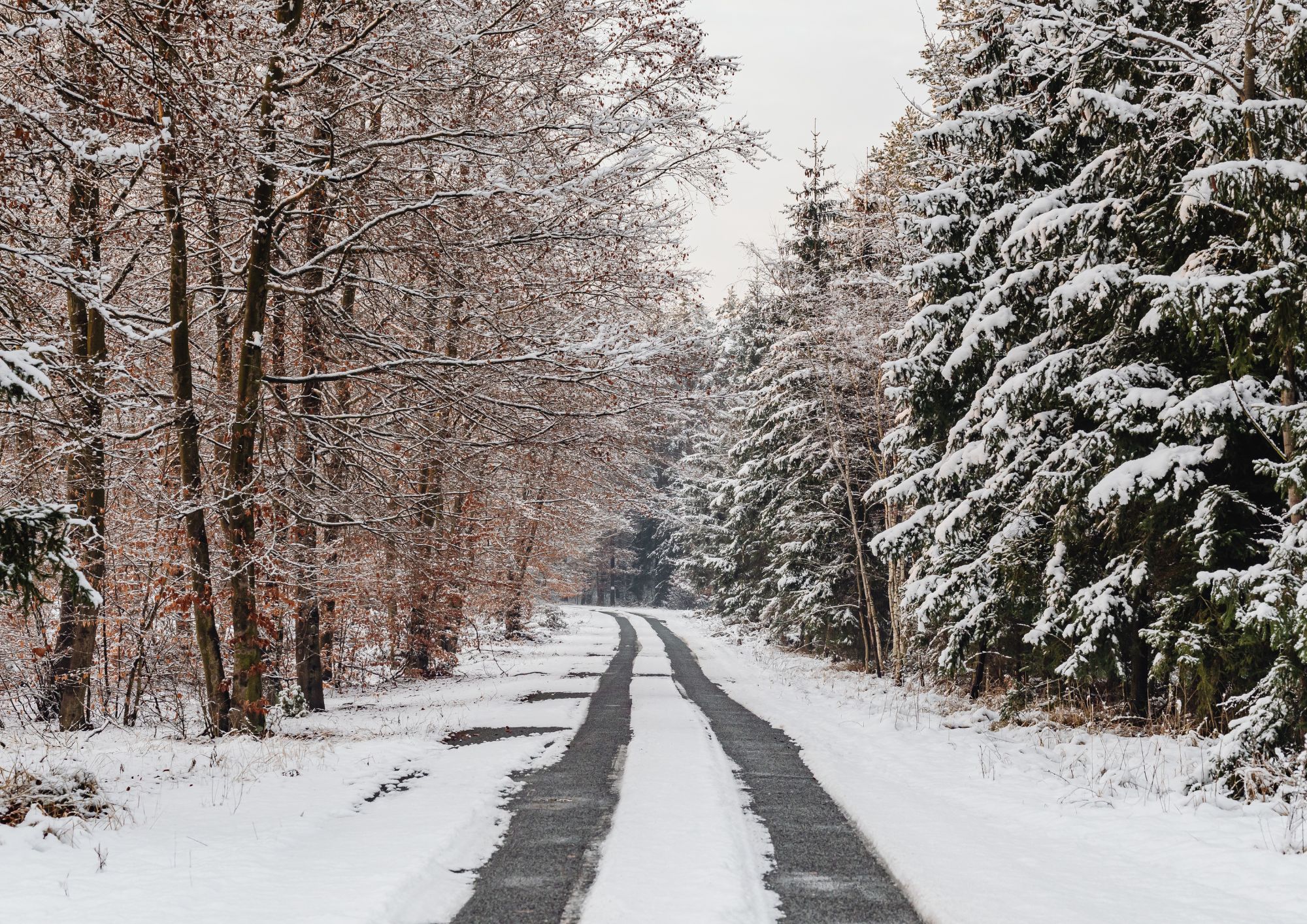 Przed nami pierwsze opady śniegu
