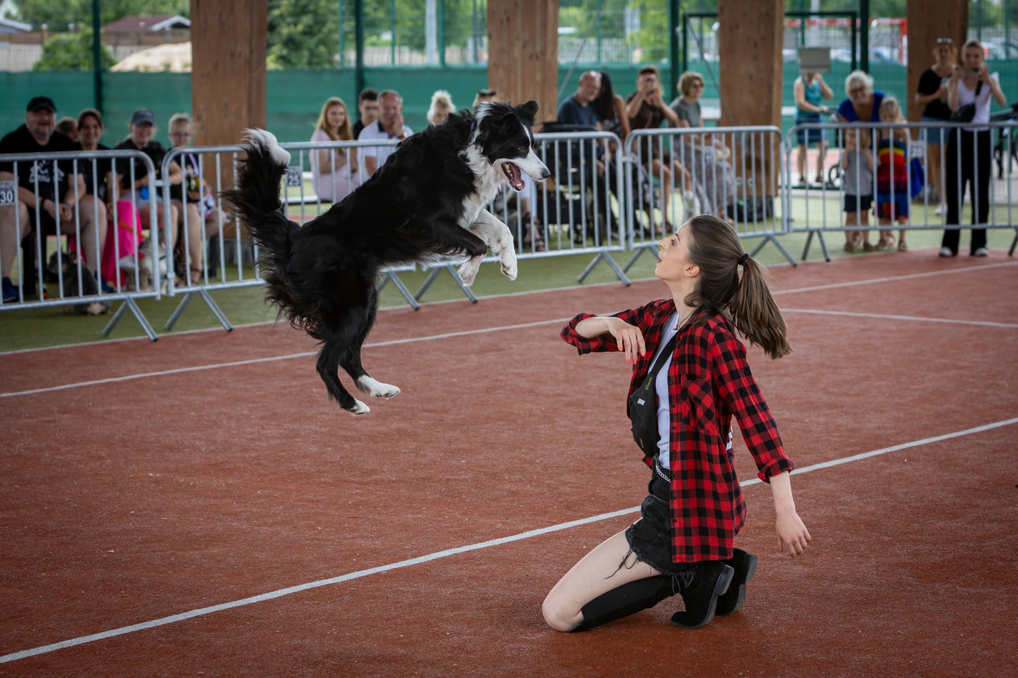 „Psicław” wraca do Przecławia. Psia fiesta już 24 maja
