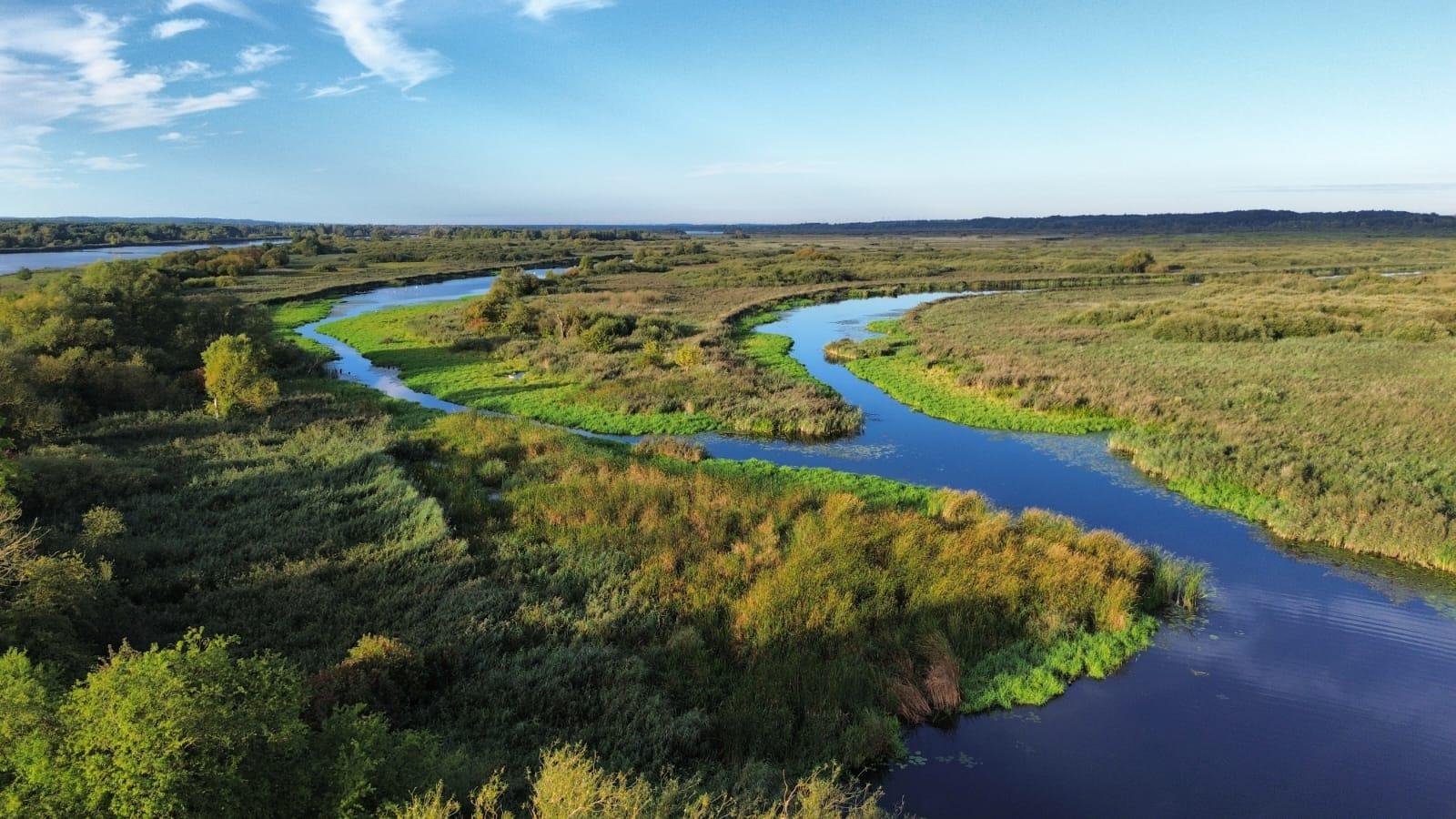 Najpierw weto, teraz nowy plan. Co dalej z ochroną Międzyodrza?