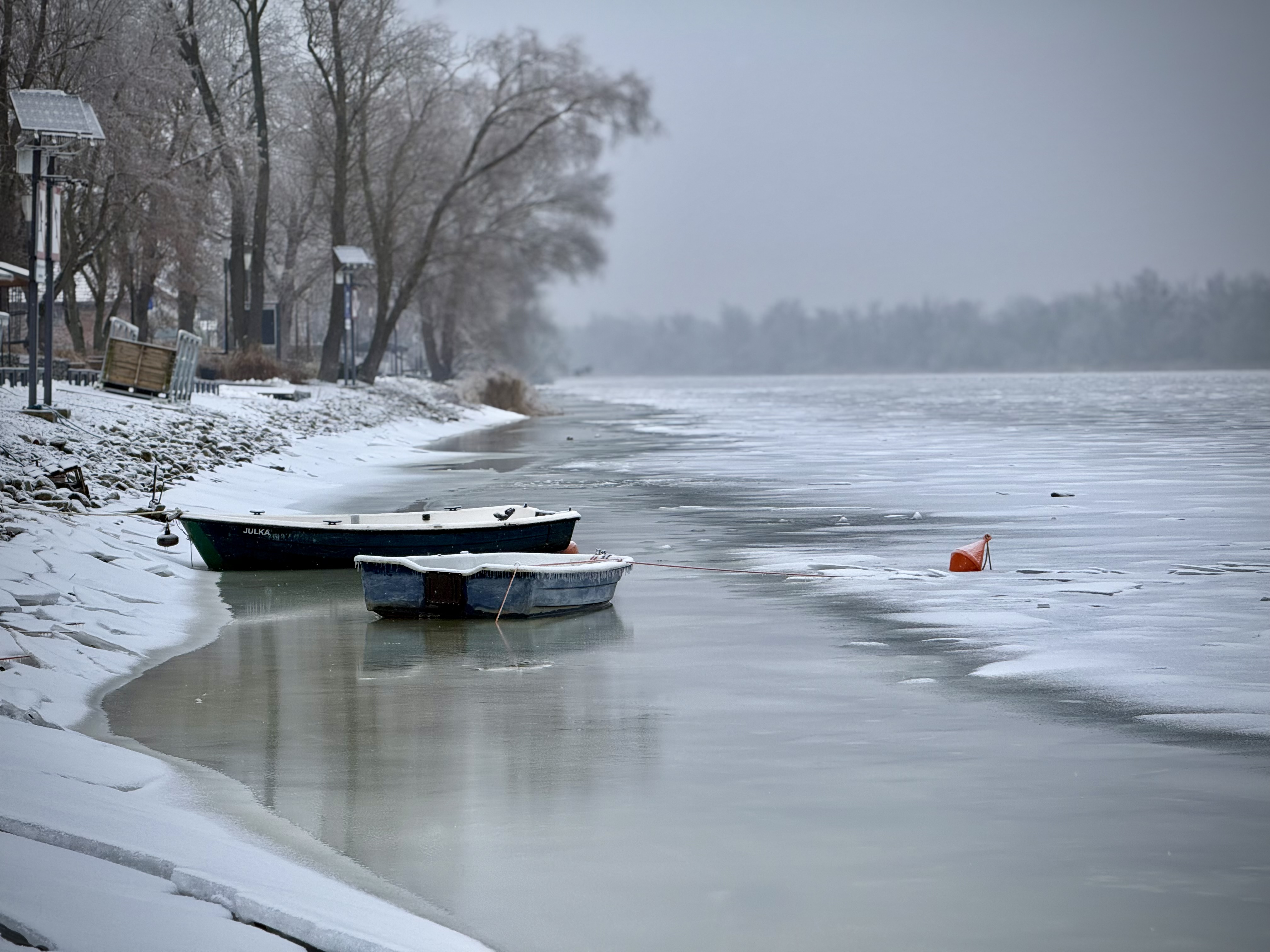 Życie rzeki. Impresje zimowej Odry