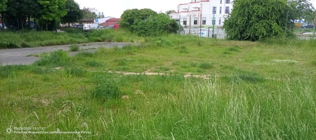 Odpady uprzątnięte z terenu za Biedronką w Przecławiu. Gmina zakończyła kontrolę