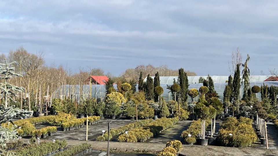 Szkółka w Smętowicach zostaje. „Dopóki będziemy mieli siłę, będziemy tutaj pracować”