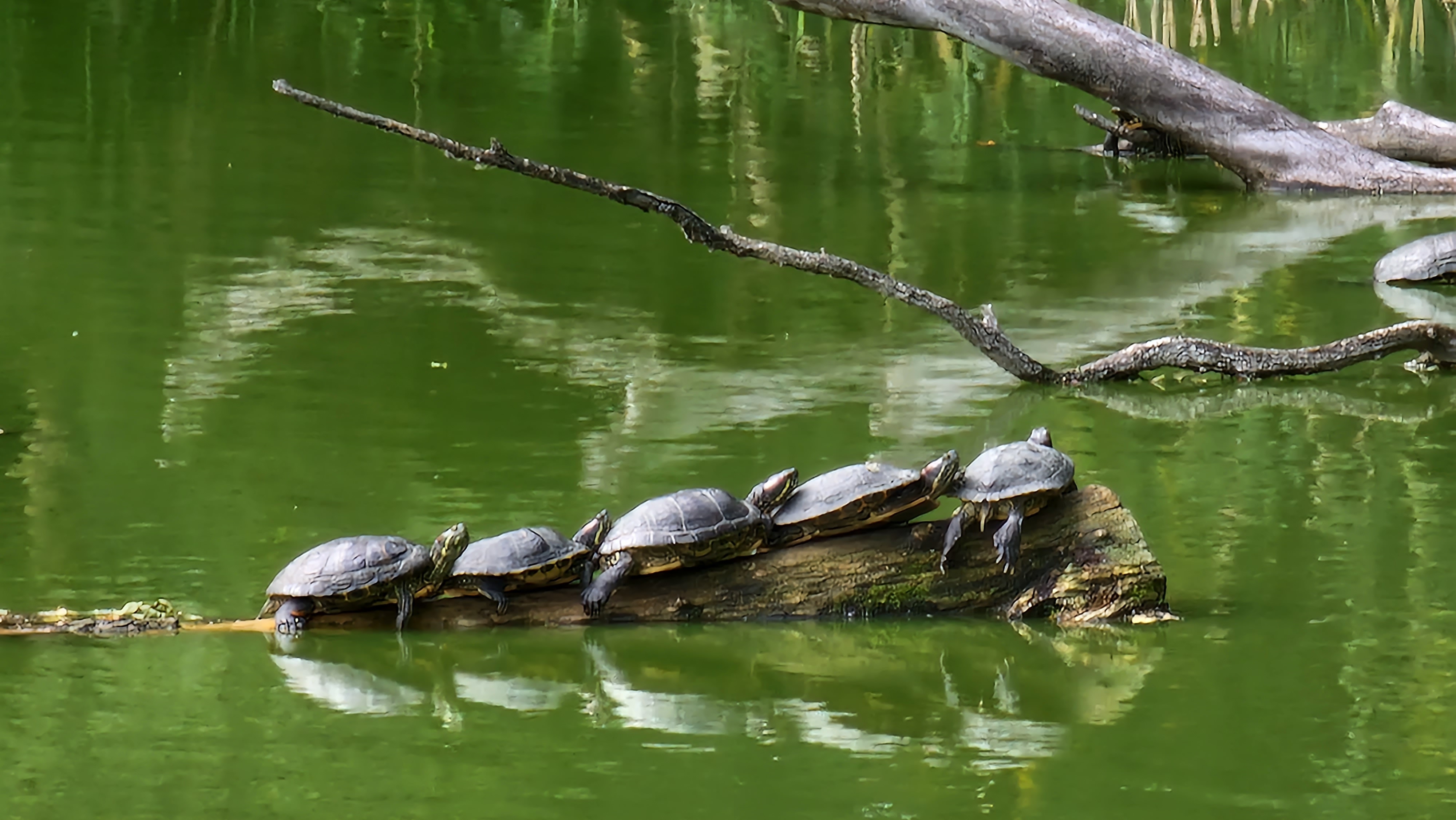 Romantyczny spacer i relaks w Ostoi - świętuj Dzień Kobiet w parku