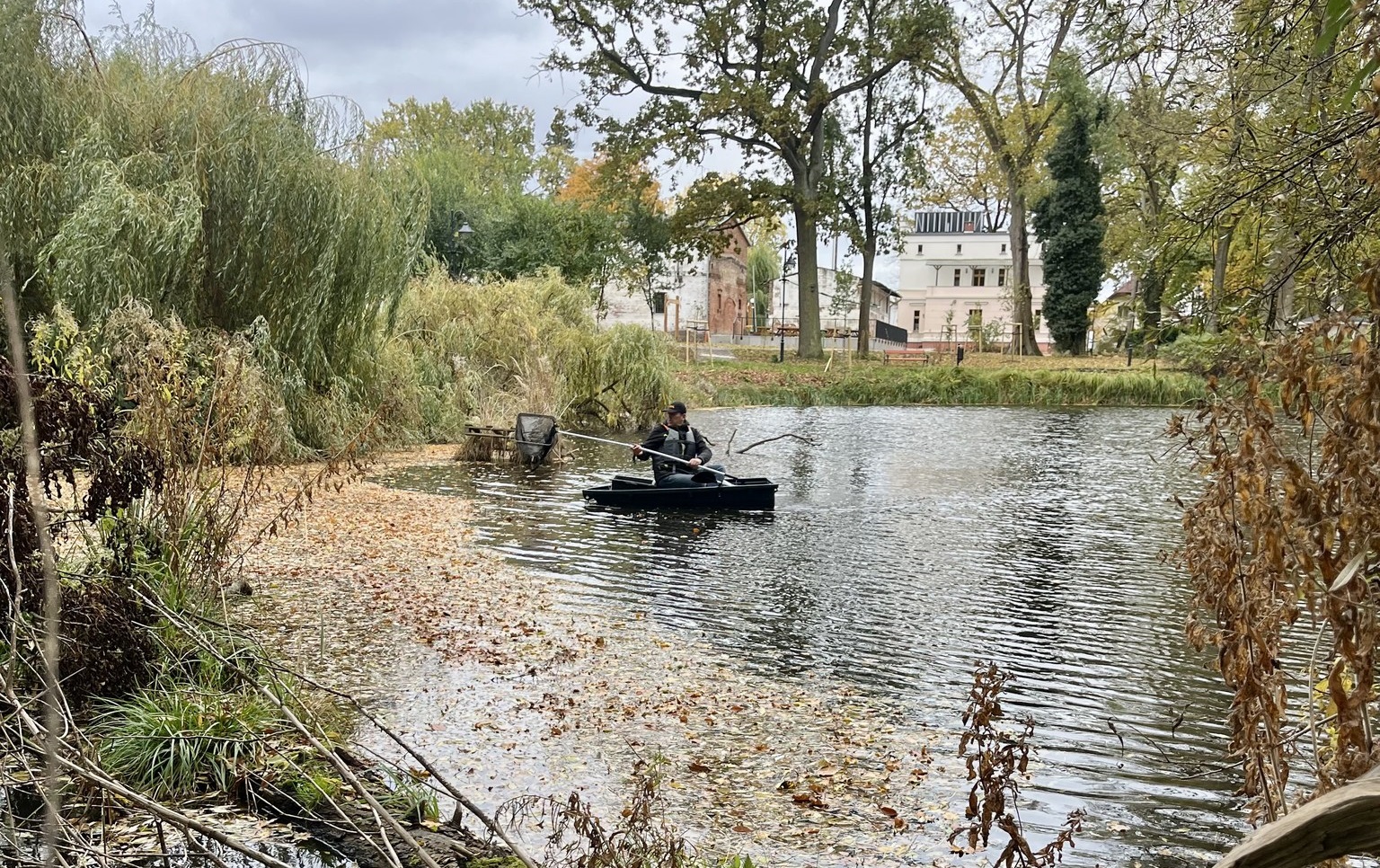 Pałac w Ostoi dba o staw i jego mieszkańców