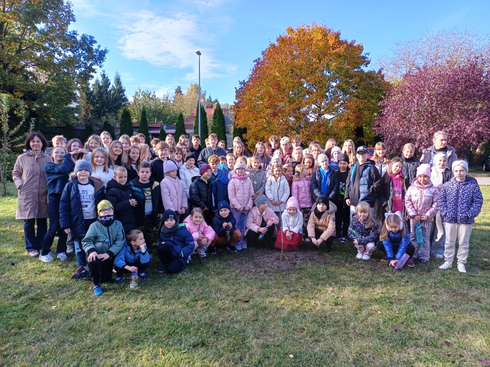 Dąb pamięci na 30-lecie Szkoły Podstawowej w Przecławiu