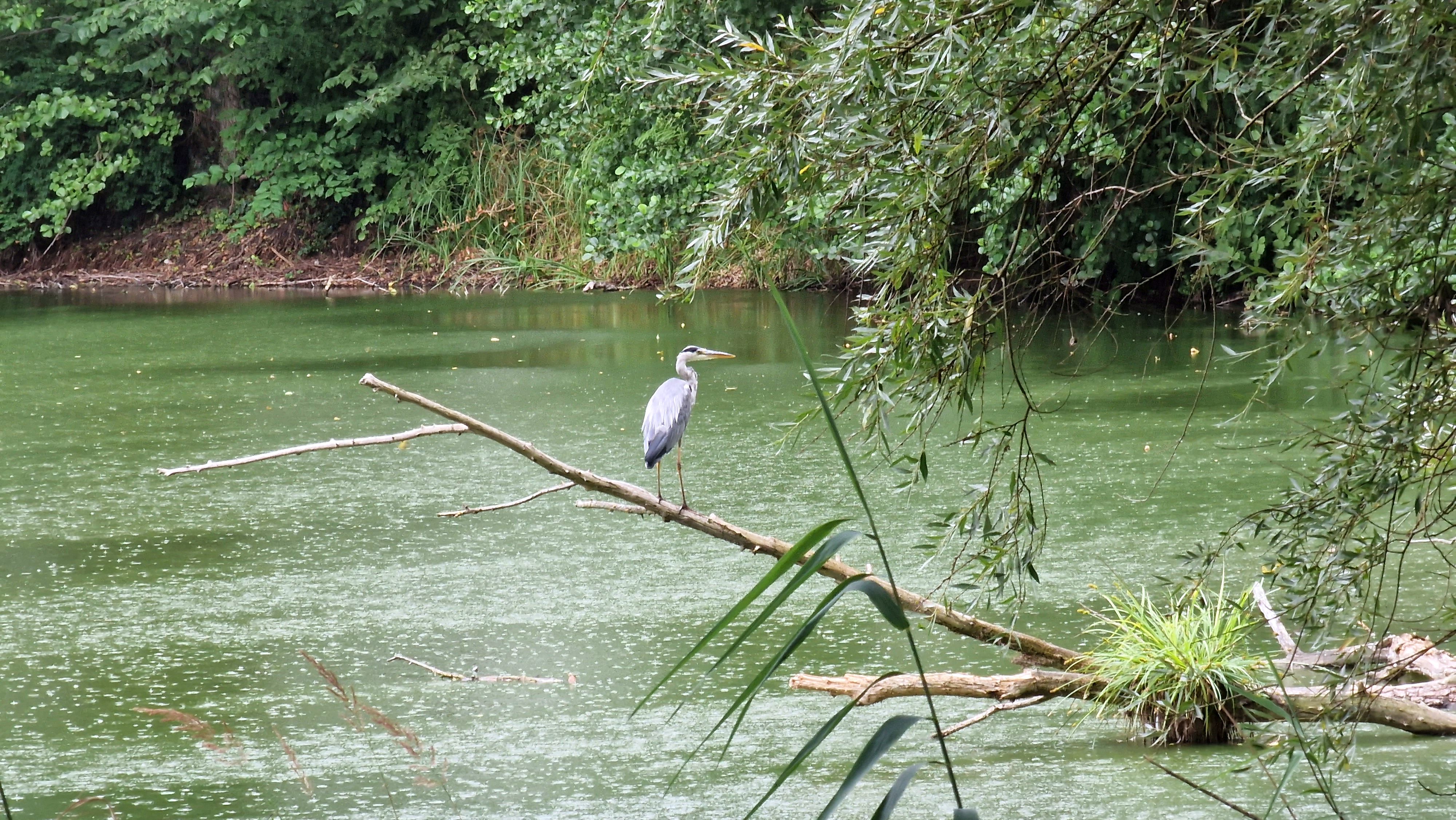 Pogoda: Jaki będzie wrzesień? Ciepły, ale z deszczem