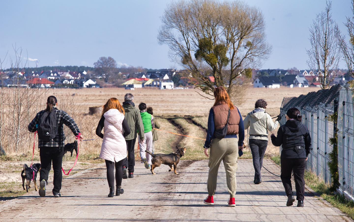 Schronisko w Dobrej szuka osób o wielkich sercach. Wolontariusze są potrzebni od zaraz
