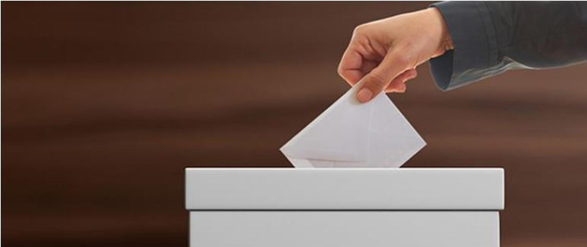 Referendum w gminie Kołbaskowo?