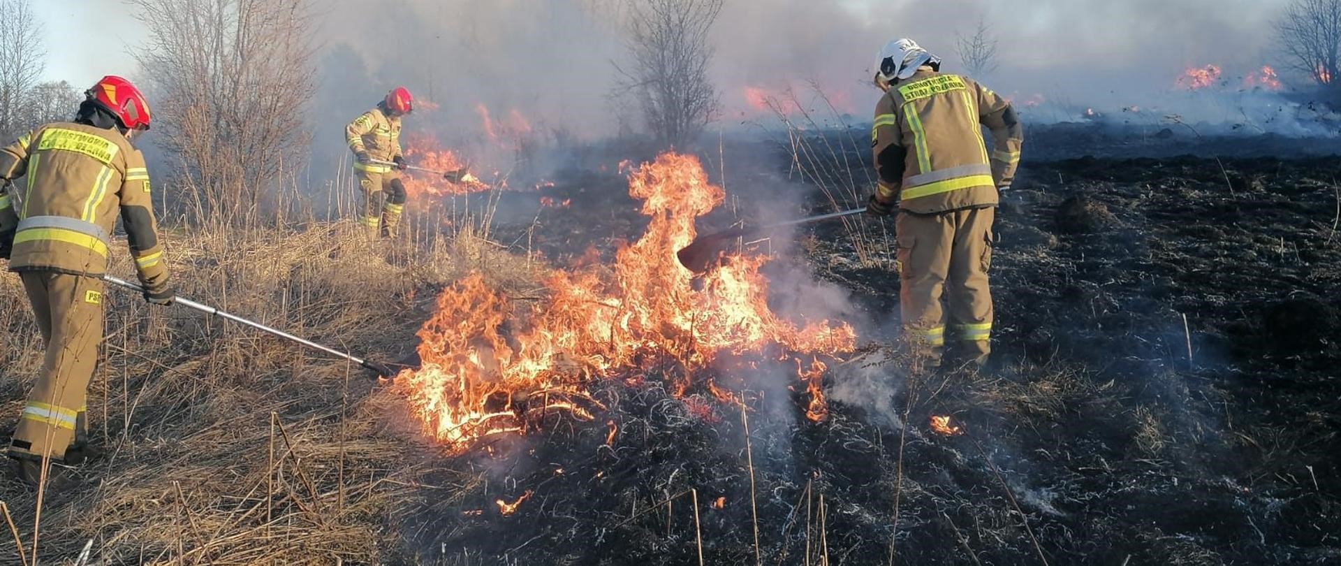 Ogień, który niszczy życie. Dlaczego wiosenne wypalanie traw to prosta droga do tragedii?