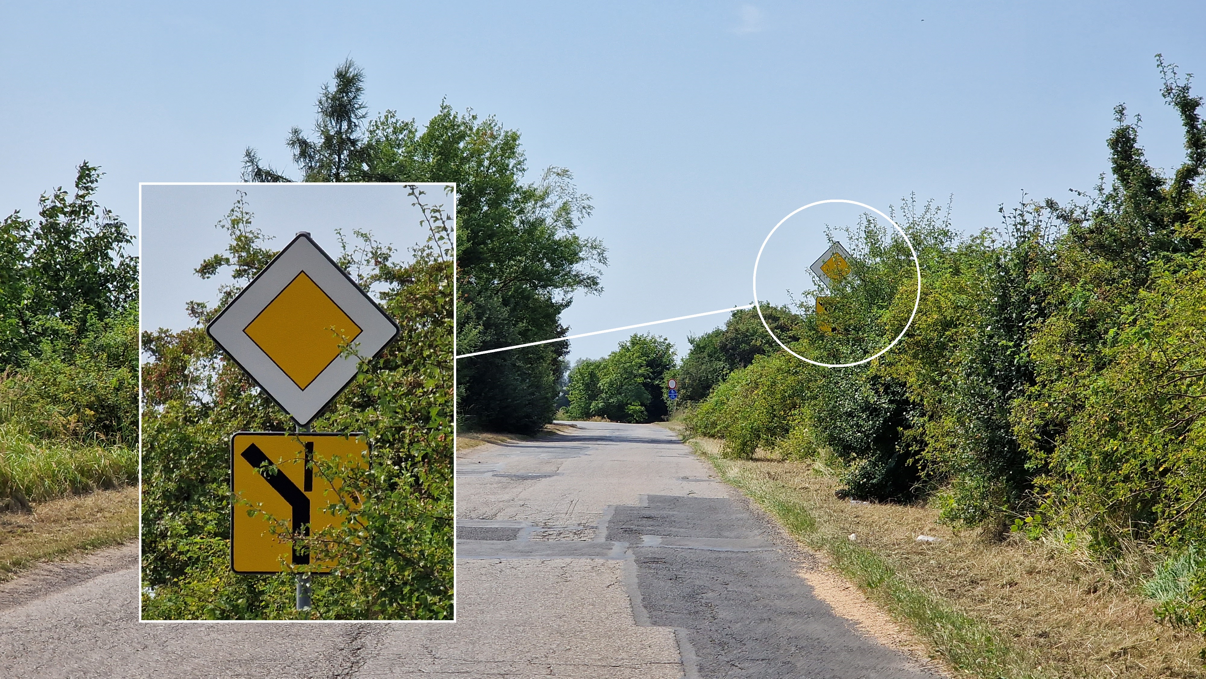 Zarośnięte znaki drogowe – interwencja mieszkańców i reakcja starostwa